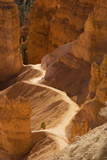Bryce Canyon: trail down into canyon from Sunrise Point Bryce Canyon: trail down into canyon from Sunrise Point