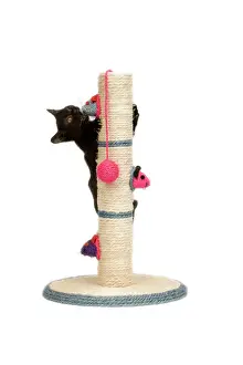 Jean Michel Labat Artwork Prints: Cat - black kitten on activity play centre / scratch post