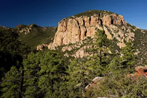 Cave Creek Canyon, in the Coronado National Forest, near Portal, Arizona Cave Creek Canyon, in the Coronado National Forest, near Portal, Arizona