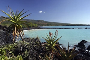 Coastal view, Grand Comore, Comoros Islands Coastal view, Grand Comore, Comoros Islands