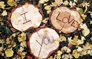 Cute - I Love You carved in wood Cute - I Love You carved in wood