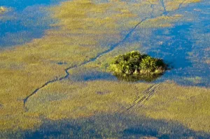 Okavango Delta Aerial View Print