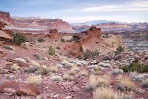 Early morning in the Capitol Reef National Park, looking towards the huge 65-million year old Waterpocket Fold Early morning in the Capitol Reef National Park, looking towards the huge 65-million year old Waterpocket Fold