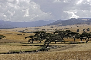 Ethiopia - Vally north of Addis Abeba Ethiopia - Vally north of Addis Abeba