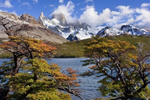 Fitz Roy Massif - mountain scenery including Cerro Fitz Roy and Laguna Capri in autumn Fitz Roy Massif - mountain scenery including Cerro Fitz Roy and Laguna Capri in autumn