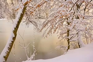 Images Dated 26th December 2010: Frosty Winter Scene - deeply snow covered winter landscape showing a lake in a forest - Swabian Alb