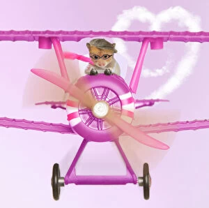 Aeroplane Collection: Hamster - flying aeroplane Digital Manipulation: backround colour, plane brown to pink, heart cloud