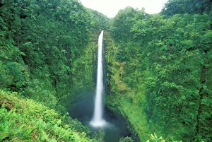 Hawaii - Akaka Falls, Big Island Hawaii - Akaka Falls, Big Island