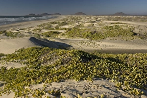 Huge sand dune system on Cape St. Quintin/Cabo San Quintin Huge sand dune system on Cape St. Quintin/Cabo San Quintin