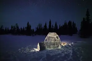 M Watson Wildlife Photographer Prints: Igloo - at night