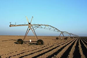 Images Dated 8th January 2005: Irrigation - cotton field. Guadalquivir delta - Spain