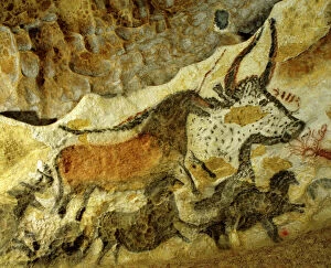 Cave Collection: Lascaux cave painting Period: Paleolithic, c. 18, 000 years ago, Vezere Valley, Dordogne