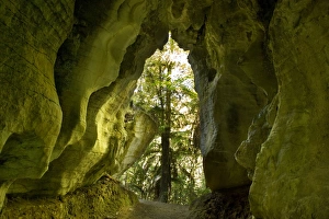Limestone Tunnel - a narrow path leads through a cave-like tunnel of limestone Limestone Tunnel - a narrow path leads through a cave-like tunnel of limestone