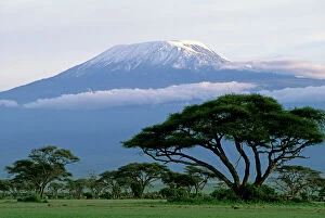 Images Dated 20th August 2009: Mt Kilimanjaro in Tanzania - taken from Amboseli National Park - Kenya JFL14183
