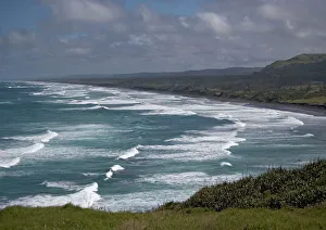 Muriwai beach, North Island, New Zealand Muriwai beach, North Island, New Zealand