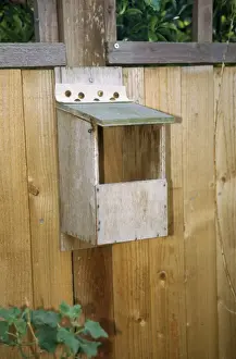 Nature Inspired Prints: Nest Box - open front