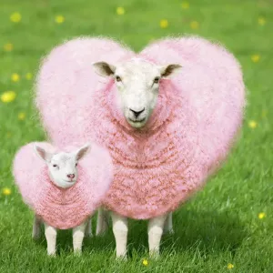 Digital Print of a Pink Sheep with Young Lamb