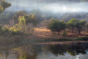 Nyanga Forest and pool - Zimbabwe Nyanga Forest and pool - Zimbabwe