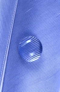 Nature Inspired Prints: Water Drop on Blue Feather