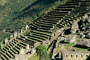 PERU - Agriculture terraces, Machu Picchu PERU - Agriculture terraces, Machu Picchu