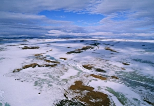 RUSSIA - Arctic tundra, melting snows, tundra of Taimyr peninsula near Kara Sea RUSSIA - Arctic tundra, melting snows, tundra of Taimyr peninsula near Kara Sea