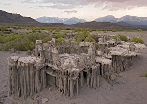 Strangely shaped Sand Tufa Formations - above current water level Strangely shaped Sand Tufa Formations - above current water level