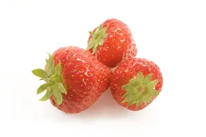 Fresh Fruits Photography Prints: Strawberries - three in studio