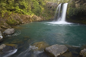 Tawhai Falls - waters drop down Tawhai Falls into a wide turqoise coloured basin Tawhai Falls - waters drop down Tawhai Falls into a wide turqoise coloured basin
