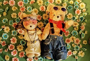 Teddy Bear - x2 teddies in flowers Teddy Bear - x2 teddies in flowers