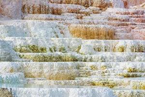 Danita Delimont Collection: Travertine terraces at Minerva Spring, Mammoth Hot Springs, Yellowstone National Park, Wyoming
