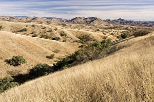 The vast savannah grasslands of south-east Arizona, near Patagonia The vast savannah grasslands of south-east Arizona, near Patagonia
