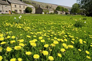 Village green at Arncliffe, Yorkshire Dales Village green at Arncliffe, Yorkshire Dales