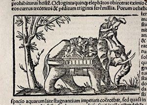 1552 Munster's War Elephant of India 1552 Munster's War Elephant of India