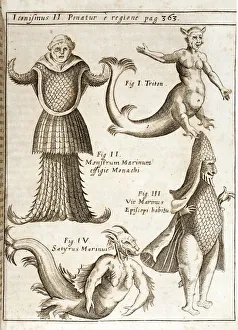 1662 Schott Sea Monsters and mermaids 1662 Schott Sea Monsters and mermaids
