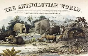 Pop art Collection: 1849 The antidiluvian world crop Jurassic