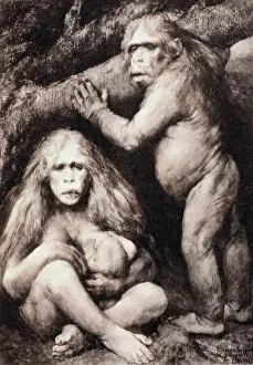 1894 Haeckel Pithecanthropus ape man crop 1894 Haeckel Pithecanthropus ape man crop