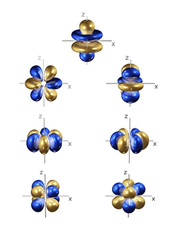 Prints of 4f electron orbitals, general set, computer model. An electron orbital is a region around an atomic nucleus (not seen) in which one or a pair of electrons is most likely to exist Images Dated 2005 May: 4f Electron Orbitals Print: General Set Computer Model