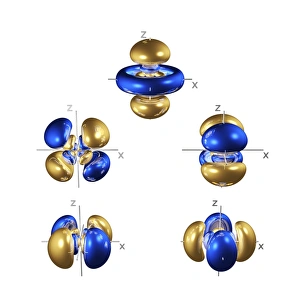 Prints of 5d electron orbitals, computer model. An electron orbital is a region around an atomic nucleus (not seen) in which one or a pair of electrons is most likely to exist Images Dated 2005 May: 5d Electron Orbitals Computer Model Print