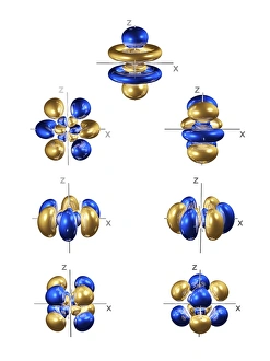 Prints of 5f electron orbitals, general set, computer model. An electron orbital is a region around an atomic nucleus (not seen) in which one or a pair of electrons is most likely to exist Images Dated 2005 May: 5f Electron Orbitals General Set Print