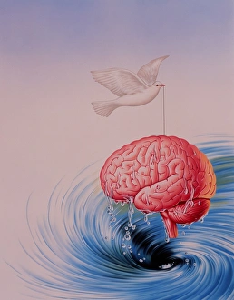 Abstract artwork of brain lifted out of whirlpool Abstract artwork of brain lifted out of whirlpool