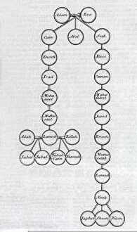 Images Dated 24th January 2014: Adam and Eve family tree, 18th century C013 / 7820