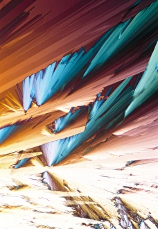 Polarised Light Microscopy Prints: Adenosine crystals, light micrograph