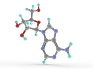 Molecular Biology Images Prints: Adenosine molecule