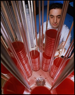 Agar filling machine Agar filling machine