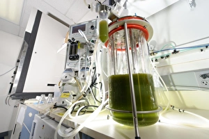 Images Dated 2nd May 2008: Algae Fermentation Bioreactor Print