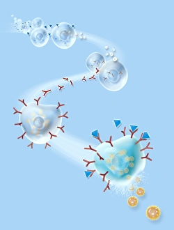 Images Dated 20th June 2011: Allergic Response Print
