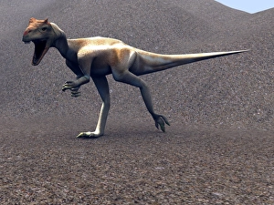 Allosaurus dinosaur Allosaurus dinosaur