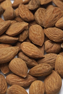 Edible Nuts Prints: Almonds