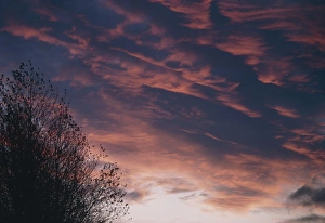 Images Dated 1986: Altocumulus Clouds Print, Gloucester, England
