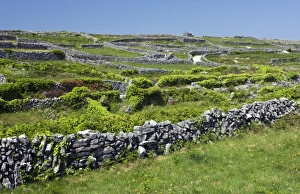 Burren Landscape Prints: Ancient limestone fields